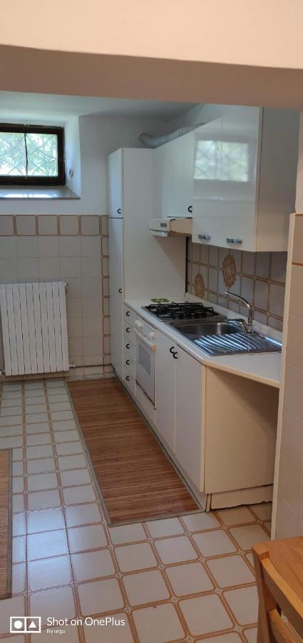 Villa Lilly Falconara Marittima Dış mekan fotoğraf